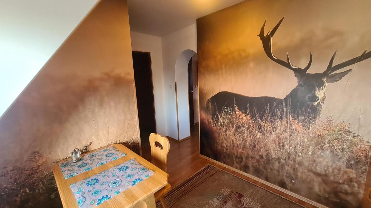 Wynajem Pokoi Magdalena Daire Zakopane Dış mekan fotoğraf